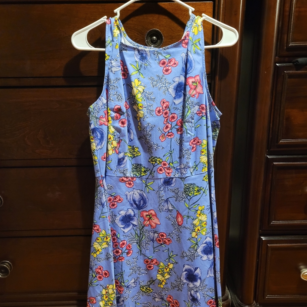 Talbots RSVP Shift Dress